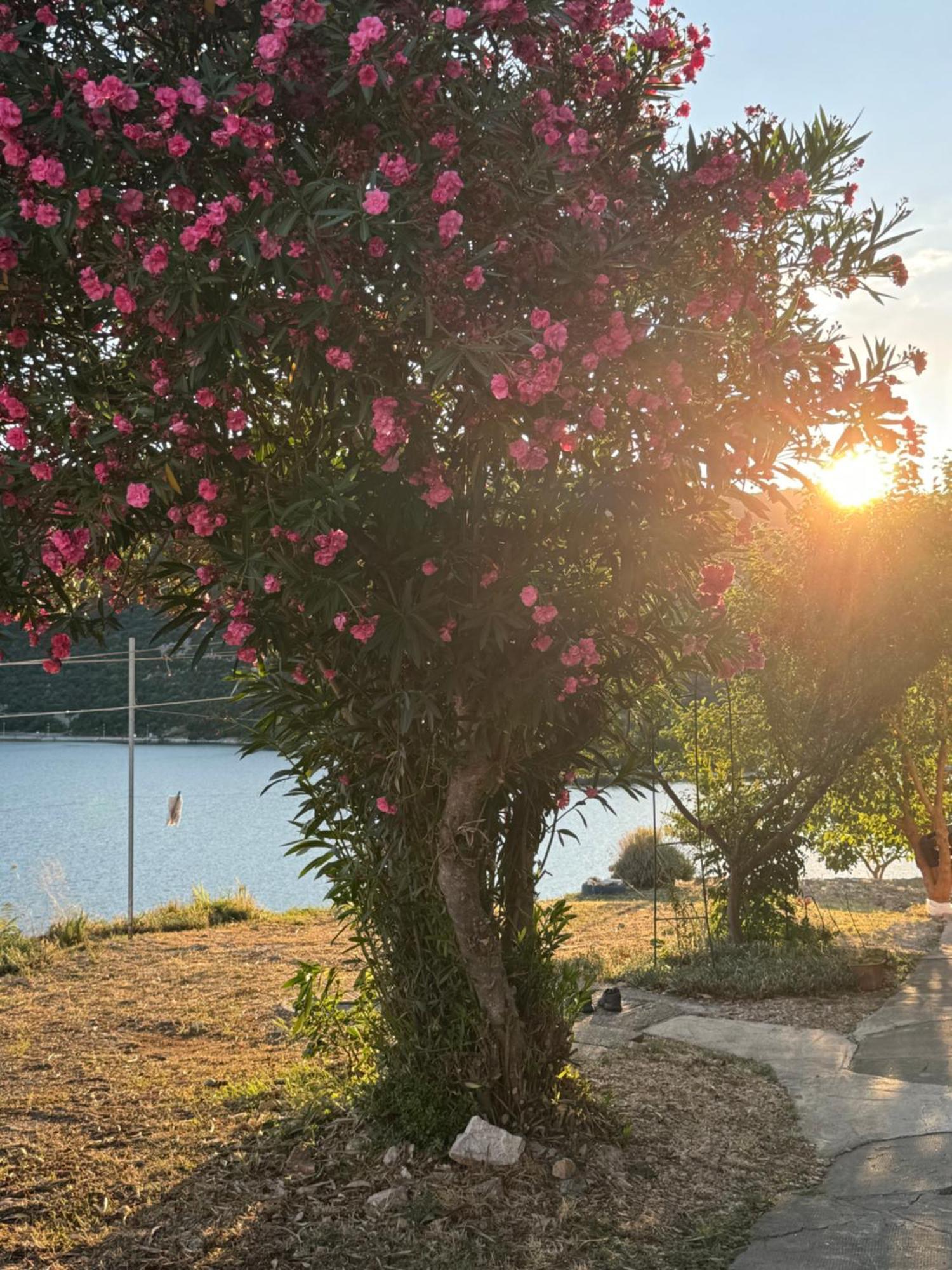 Apartman Laura Ploce (Dubrovnik-Neretva) Exterior foto